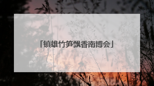 镇雄竹笋飘香南博会