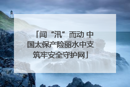 闻“汛”而动 中国太保产险丽水中支筑牢安全守护网