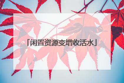 闲置资源变增收活水