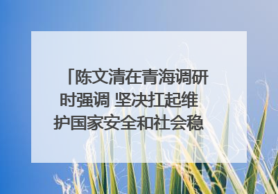 陈文清在青海调研时强调 坚决扛起维护国家安全和社会稳定职责使命 为谱写中国式现代化青海篇章贡献政法力量