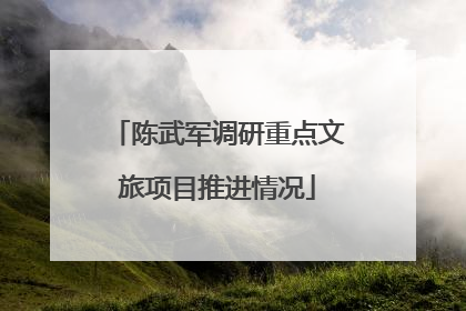 陈武军调研重点文旅项目推进情况