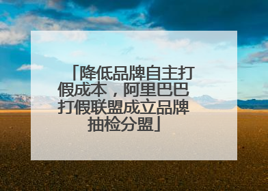 降低品牌自主打假成本，阿里巴巴打假联盟成立品牌抽检分盟