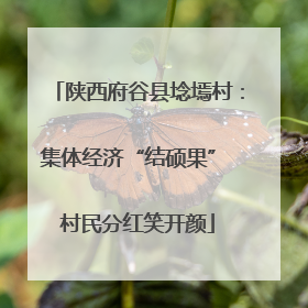 陕西府谷县埝墕村：集体经济“结硕果” 村民分红笑开颜
