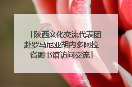 陕西文化交流代表团赴罗马尼亚胡内多阿拉省图书馆访问交流