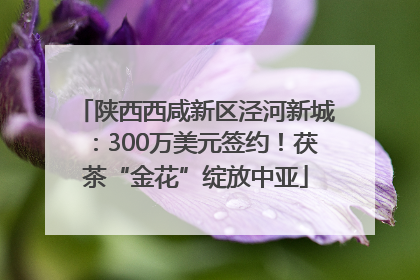 陕西西咸新区泾河新城：300万美元签约！茯茶“金花”绽放中亚