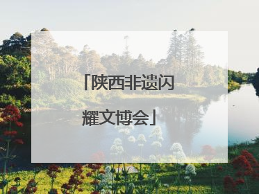 陕西非遗闪耀文博会