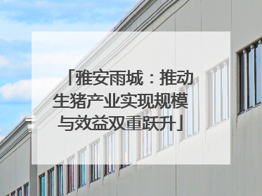雅安雨城：推动生猪产业实现规模与效益双重跃升