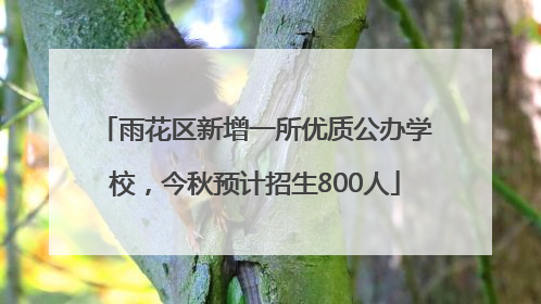 雨花区新增一所优质公办学校，今秋预计招生800人
