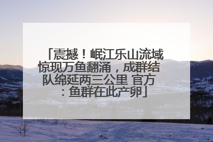 震撼！岷江乐山流域惊现万鱼翻涌，成群结队绵延两三公里 官方：鱼群在此产卵