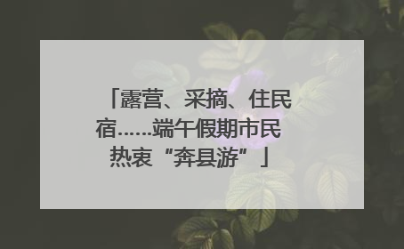 露营、采摘、住民宿……端午假期市民热衷“奔县游”