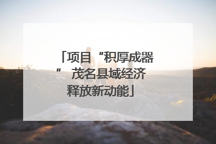 项目“积厚成器” 茂名县域经济释放新动能