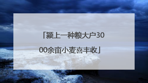 颍上一种粮大户3000余亩小麦喜丰收