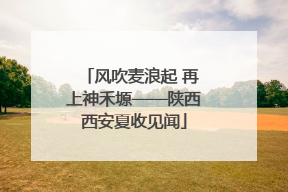 风吹麦浪起 再上神禾塬——陕西西安夏收见闻