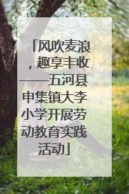 风吹麦浪，趣享丰收——五河县申集镇大李小学开展劳动教育实践活动