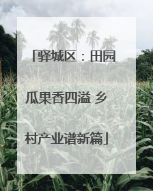 驿城区：田园瓜果香四溢 乡村产业谱新篇