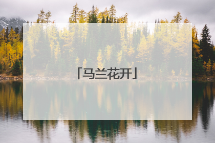 马兰花开