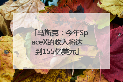 马斯克：今年SpaceX的收入将达到155亿美元