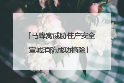 马蜂窝威胁住户安全 宣城消防成功摘除