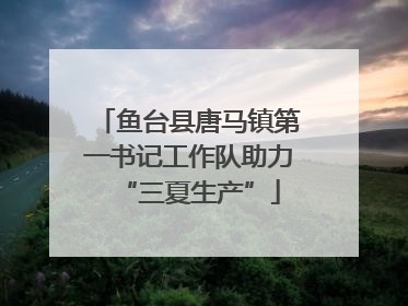 鱼台县唐马镇第一书记工作队助力“三夏生产”