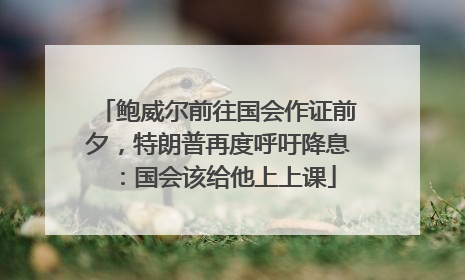 鲍威尔前往国会作证前夕，特朗普再度呼吁降息：国会该给他上上课