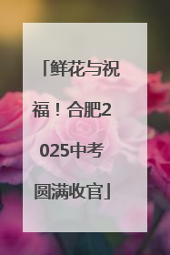 鲜花与祝福！合肥2025中考圆满收官