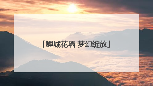 鲤城花墙 梦幻绽放