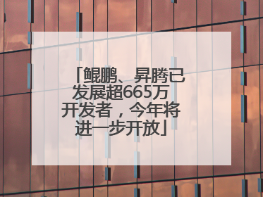 鲲鹏、昇腾已发展超665万开发者，今年将进一步开放