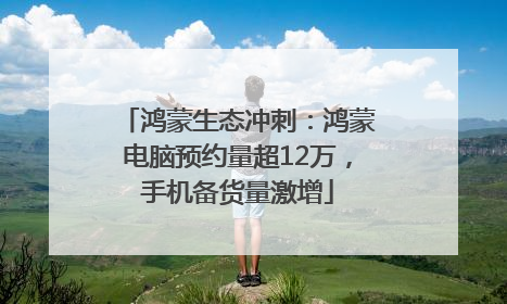 鸿蒙生态冲刺：鸿蒙电脑预约量超12万，手机备货量激增