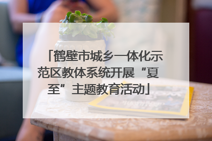 鹤壁市城乡一体化示范区教体系统开展“夏至”主题教育活动