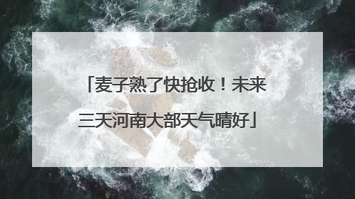麦子熟了快抢收！未来三天河南大部天气晴好
