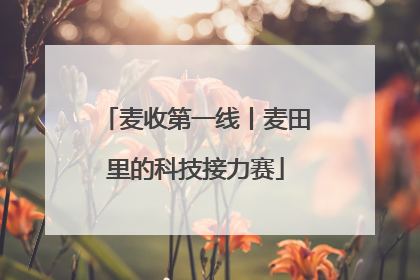 麦收第一线丨麦田里的科技接力赛