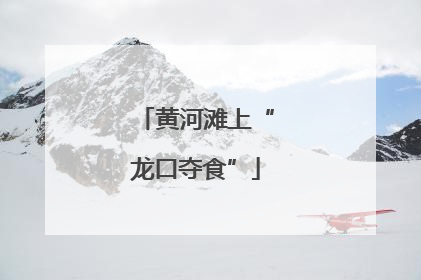 黄河滩上“龙口夺食”