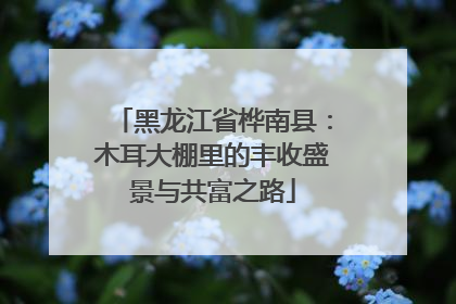黑龙江省桦南县：木耳大棚里的丰收盛景与共富之路