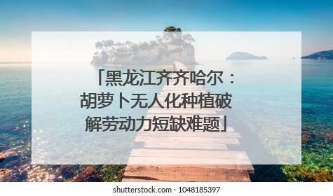 黑龙江齐齐哈尔：胡萝卜无人化种植破解劳动力短缺难题