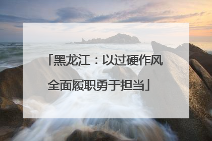 黑龙江：以过硬作风全面履职勇于担当