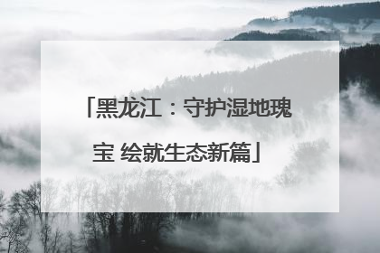 黑龙江：守护湿地瑰宝 绘就生态新篇
