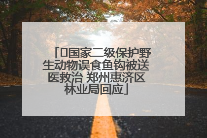 ﻿国家二级保护野生动物误食鱼钩被送医救治 郑州惠济区林业局回应