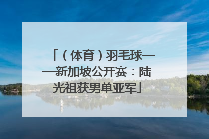 （体育）羽毛球——新加坡公开赛：陆光祖获男单亚军