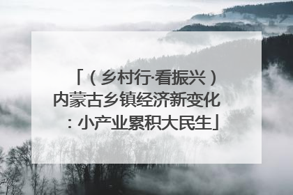 （乡村行·看振兴）内蒙古乡镇经济新变化：小产业累积大民生
