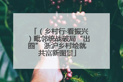 （乡村行·看振兴）毗邻统战破局“出圈” 浙沪乡村绘就共富新图景