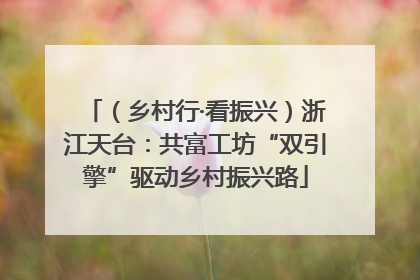 （乡村行·看振兴）浙江天台：共富工坊“双引擎”驱动乡村振兴路