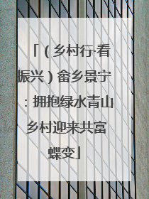 （乡村行·看振兴）畲乡景宁：拥抱绿水青山 乡村迎来共富蝶变