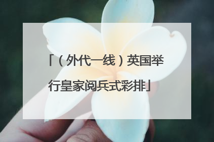 （外代一线）英国举行皇家阅兵式彩排