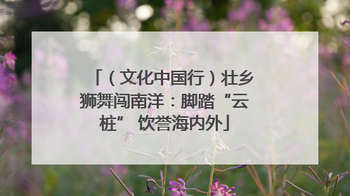 （文化中国行）壮乡狮舞闯南洋：脚踏“云桩” 饮誉海内外
