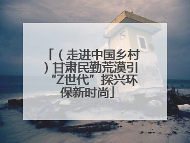 （走进中国乡村）甘肃民勤荒漠引“Z世代”探兴环保新时尚