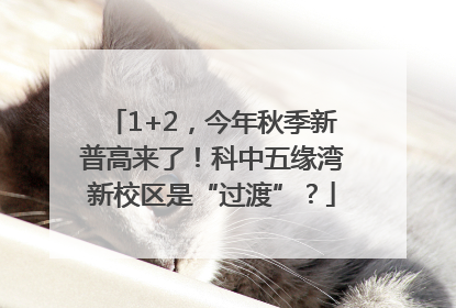 1+2，今年秋季新普高来了！科中五缘湾新校区是“过渡”？