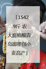 1542.9斤 农大腐植酸青岛即墨创小麦高产