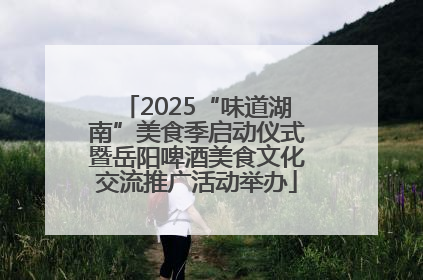 2025“味道湖南”美食季启动仪式暨岳阳啤酒美食文化交流推广活动举办