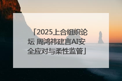 2025上合组织论坛 周鸿祎建言AI安全应对与柔性监管