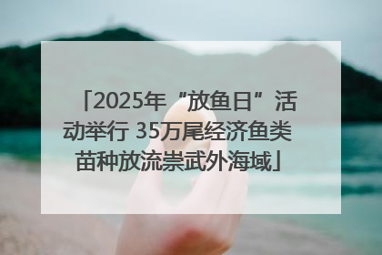 2025年“放鱼日”活动举行 35万尾经济鱼类苗种放流崇武外海域